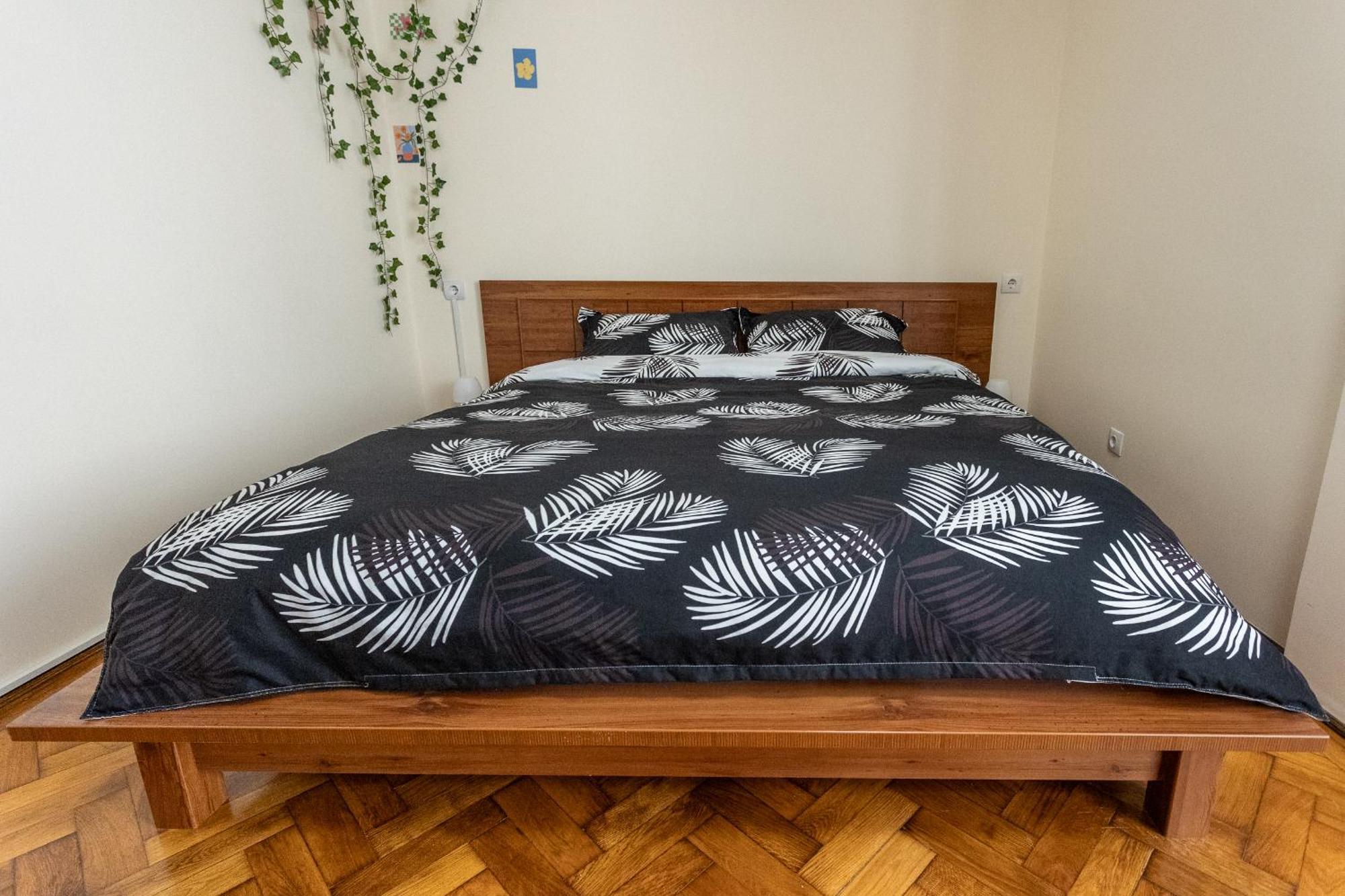 Ferienwohnung Supreme Deer Brașov Exterior foto